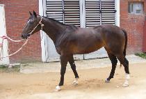 HANRIM TEUKHO picture