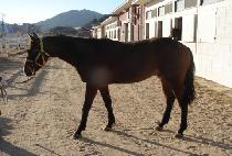 ���ֿ�õ (DAEJU OKCHEON) ����