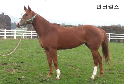 ���Ͱɽ� ����