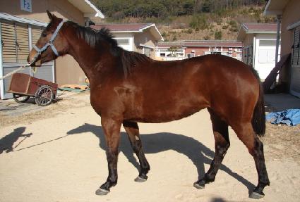 ǳ��� ����