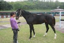 �����Ŀ� (DANCEA POWER) ����