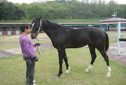 �����Ŀ� ����