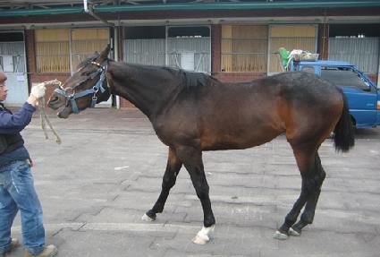 ����Ʈ�Ŀ� ����