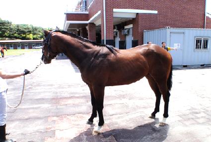 ��ġ��帲 ����