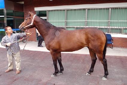 �ְ���Ƽ ����