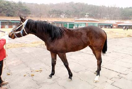 ���õ�� ����