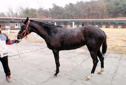 ������� ����