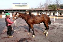 ������� (URAMUI HIM) ����