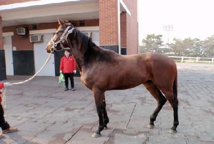 �������� ����