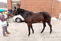 �뼺�Ŀ� (DEASEONG POWER) ����