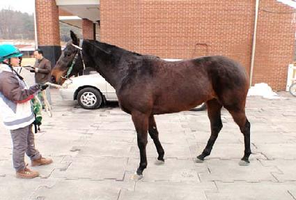 �뼺�Ŀ� ����