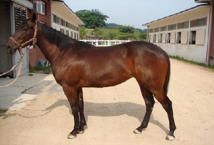 ���� ����