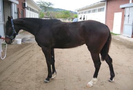 �ٸ�ġ ����