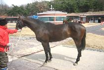 õ�ϱ��� (CHEONHAGUNJU) ����