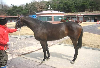 õ�ϱ��� ����