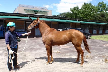 ������ ����