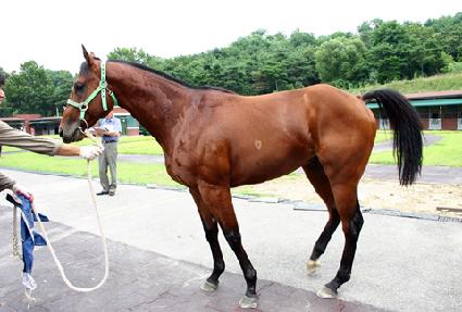 ���� ����