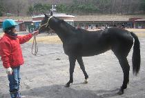 �޲ٴ¼��� (KKUMKKUNEUNSESANG) ����