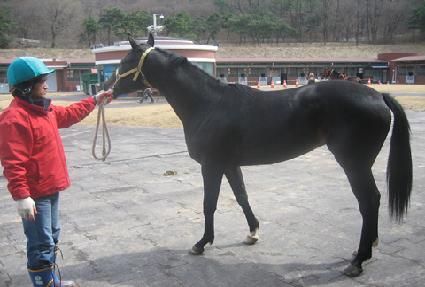 �޲ٴ¼��� ����