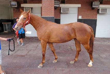 �÷��ν����� ����