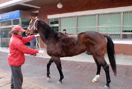 �ݾ�ȣ ����