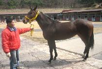 �ַθ� (SOLOMON) ����