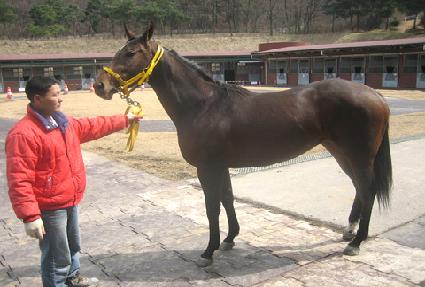 �ַθ� ����