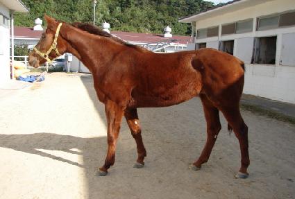 ��� ����