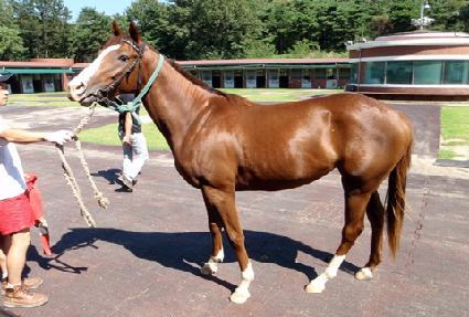 ���ɾ� ����