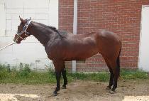 ��ũ���Ŀ� (SECRET POWER) ����