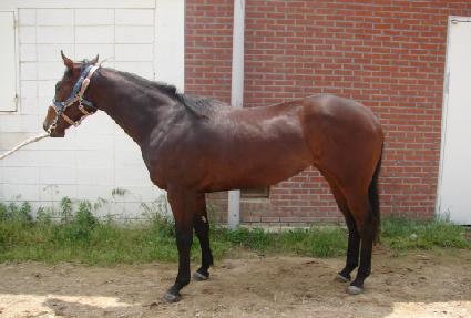 ��ũ���Ŀ� ����