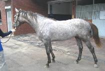 ���տõ��� (FEEL IT ALL DAY) ����