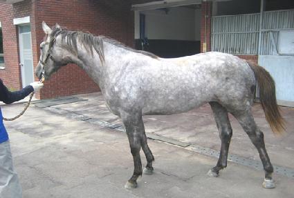 ���տõ��� ����