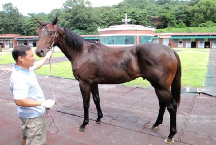 �ָ���Ʈ ����