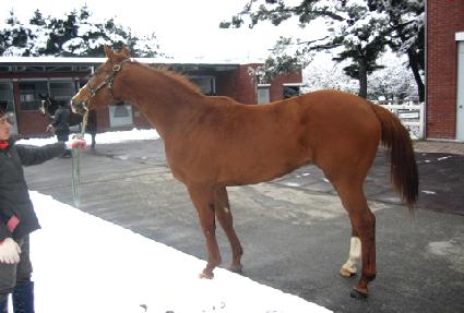 ������� ����