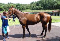 ����������õ (SS ICHEON) ����