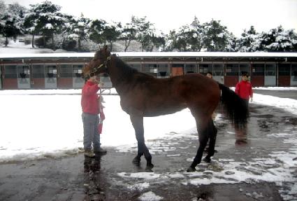 ���������� ����