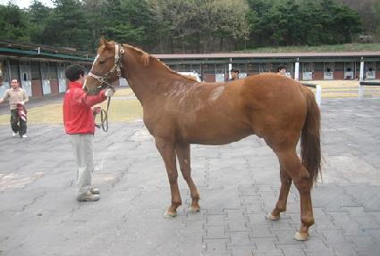 �����䷯ ����