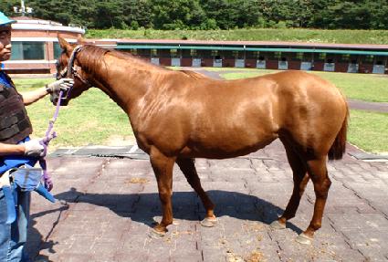 ��뺹 ����