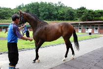 �ݺ��ŷ� (GEUMBINMAERYEOK) ����