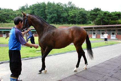 �ݺ��ŷ� ����