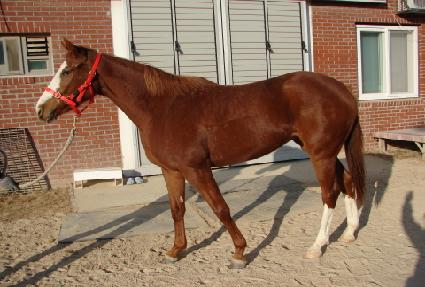 ���ö��̽� ����