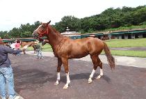 �ٹ�Ȧ (DAMI HALL) ����