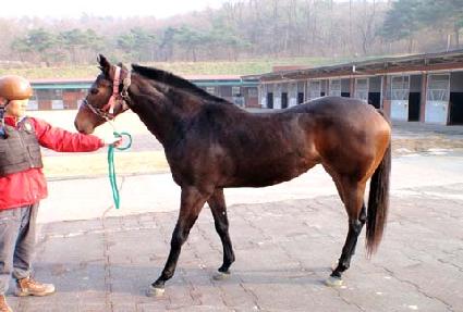 ���ָӴ� ����