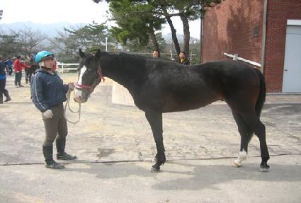 ���� ����