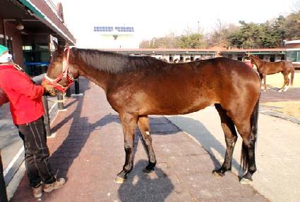 ����ܼ�Ʈ ����