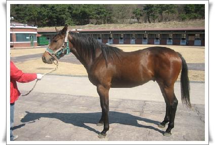 �������� ����