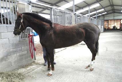 ��������� ����