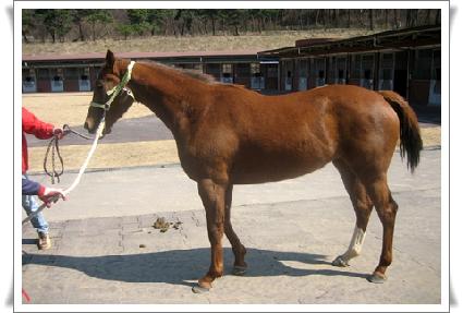 ����¡��� ����