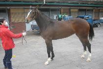 �ǰܿ��� (FIGURE YEOWANG) ����